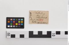 Etiketten zu Bronzegürtelblech (NHMW-PRAE-024186)